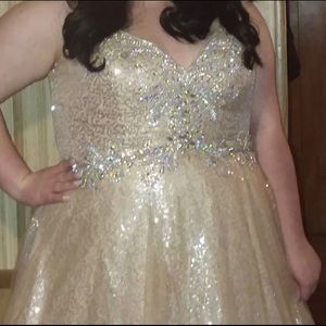 Size 24 prom dress
